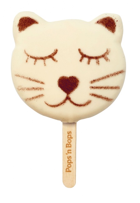 Mr. Cat